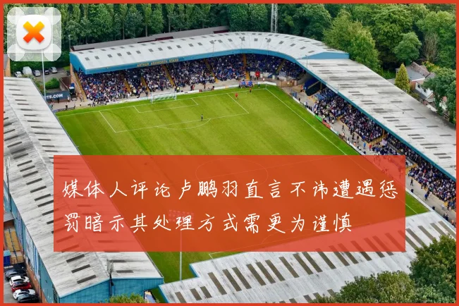 媒体人评论卢鹏羽直言不讳遭遇惩罚暗示其处理方式需更为谨慎