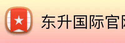 东升国际官网 logo
